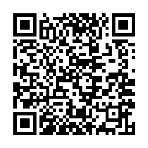 或许是因为云起舞和南寻风给人的感觉比较光明磊落二维码生成