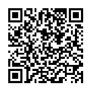 或许是因为感觉到了楚旬和虎魄刀中蕴含的可怕杀机二维码生成