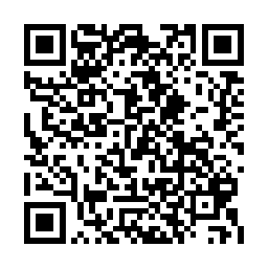 或许是因为我们的诚意还不能够打动秦洛先生吧二维码生成