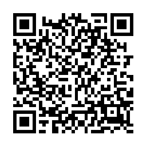 或许是因为风雪再次飘舞又或许是对方此间表现出来的漠然二维码生成