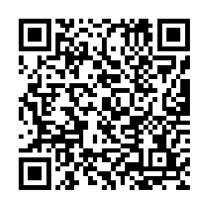 或许是因为龙扬君第二次执掌猎妖师协会的大权之后二维码生成