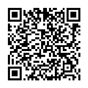 或许是少族长你的海族血脉出现了变异也说不定二维码生成