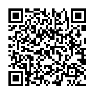 或许是拉维斯王室的术士血脉吸引了恶魔的注意力二维码生成