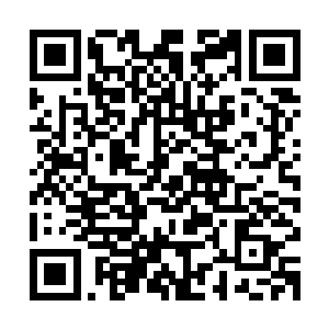 或许是时候好好考虑一下这家伙到底适不适合担任队伍打野位了二维码生成