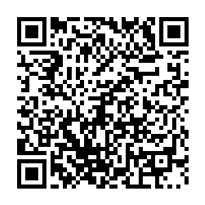 或许是某一支被元始文明驱赶到宇宙海边陲的星空异族或者低等文明二维码生成