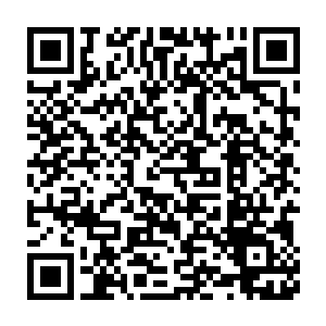 或许是看清楚了君武想要实现心中抱负首先还是得当好一个小王爷吧二维码生成