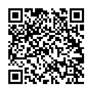 或许有一小部分因为种种原因而没有进入天青虚界二维码生成