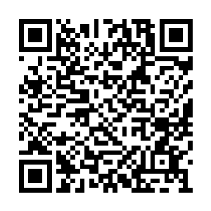 或许真的没必要杀死一个什么都不知道的小孩子二维码生成