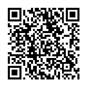 或许空气中还蕴含着各种对盘古族有剧毒的成分二维码生成