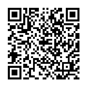 或许能赶在蛮荒风云会之前将实力提升之堪比四重王者之境二维码生成