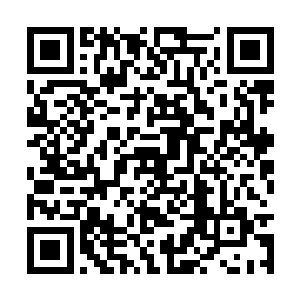 或许自己对这个妹妹也不全是哥哥对妹妹的溺爱吧二维码生成