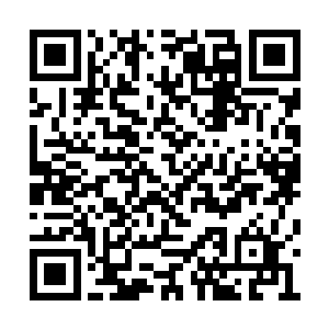 或许质朴这种高尚的品德已经融进了他们的血脉二维码生成