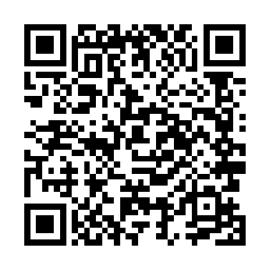 或许转世重生后他可以重新意识到这个世界最奇妙的地方二维码生成