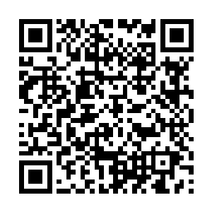 或许还不是一两个的……如果大规模的涌入龙国边境二维码生成