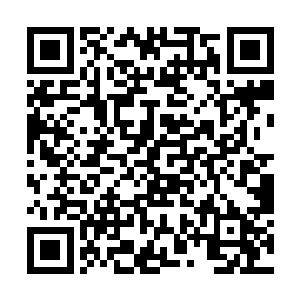 或许这与陈长生浑身是血站在苏离身前有很大的关系二维码生成