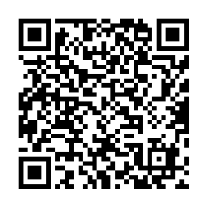 或许这个本领高强的年轻男子真的并不在意自己一身毒术二维码生成