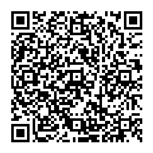 或许这些鲸鱼本来就聪明一教就会现在只要是看到船上挂着日本的旗子就一准儿非要顶翻了才舒服二维码生成