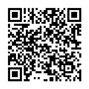 或许这位大君是为了隐藏自己的实力变化成了人类二维码生成