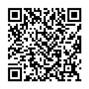 或许这就是对我当年陷害姬瑶仙那迟到的惩罚吧二维码生成