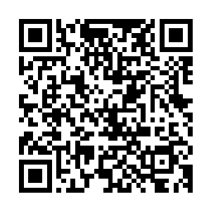 或许这才是子阳和权桓两人对待原主的最真实的情感吧――敬畏二维码生成