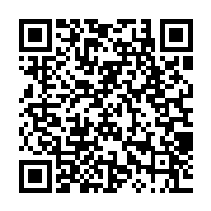 或许那些人发出的声音能够骗过一次来到山林的其他部落的人二维码生成