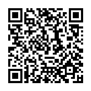 战战兢兢的跟在墨景黎身边怎么看也不像是一国之君二维码生成