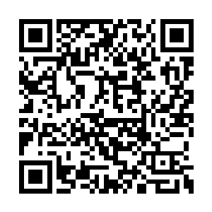 战技以及前人留下的修行感悟等全部阅览了一遍二维码生成