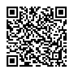 战斗力估计是我们地球联邦最强大战舰的十倍以上二维码生成