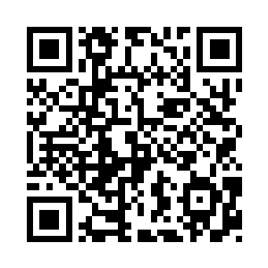 战斗力可是比一般的仙帝仙尊厉害的多二维码生成