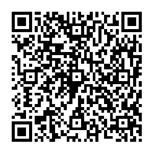 战斗的主力就是旺达镇上悄悄累积起来的蓝色盾牌加马格隆他们召集起来的苏鲁族战士二维码生成