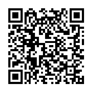 战斗经验丰富的他很明白野蛮人小手斧抛射的厉害二维码生成