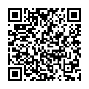 战斗经验根本就不是太玄宗的这些温室的花朵能够比拟的二维码生成