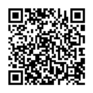 战斗被人刺伤和坐在这里被人刺伤做研究的概念完全不同二维码生成