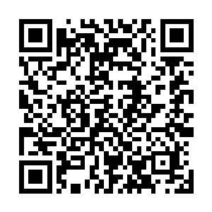 战气的碰撞和轰鸣就像是在燕归山脉上空释放出的焰火一样二维码生成