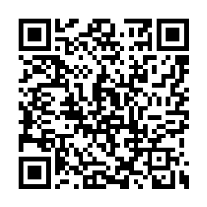 战舰上无数的强者都纷纷的从战舰里面杀了出来二维码生成