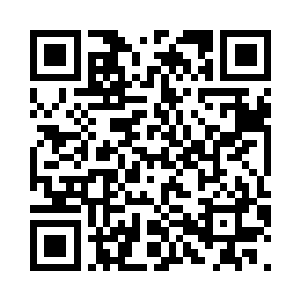 战队令主们则会率领实力强横的随扈二维码生成