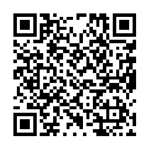 战魔的整个身体上顿时不满了如蜘蛛网一般密集的裂隙二维码生成