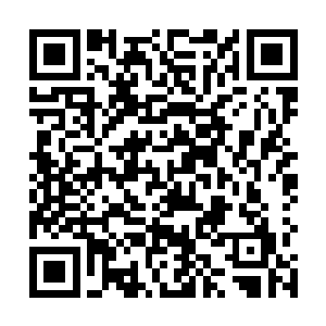 战龙火炎啸和圣焰天王拳原本和韩风的契合度只有五成二维码生成