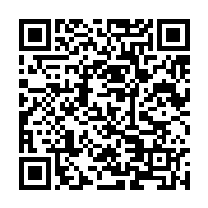 戚少冲等忠心于聚神庄的弟子还处于莫名其妙之中二维码生成