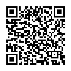 戚少名与夕残痕就是派到这里来掌管莫丘事物的二维码生成