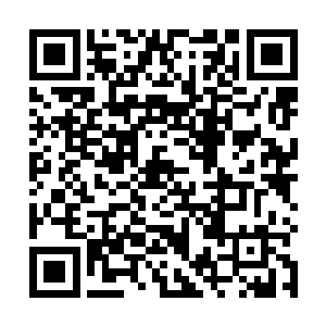 戛纳就因为宜人的其后而成为欧洲冬季度假的首选之地二维码生成