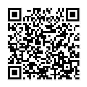 截然没有了之前自己第一次见到时的那般恐怖气息二维码生成