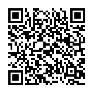 戴了一张北莽返身后就没怎么派上用场的生根面皮二维码生成