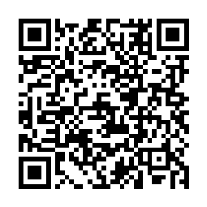 戴眼镜的实验员呆呆板板地与众人说着关于实验的事情二维码生成