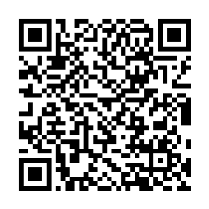 戴着听诊器的巴克聚精会神听取面前病人胸腔呼吸的间隙二维码生成