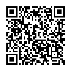 戴笠帽的年轻人居然能够如此轻松地战胜轩辕破二维码生成