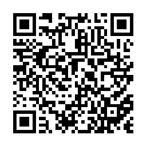 房主一眼就认出大山大是在墙壁里贴的就是这种符二维码生成