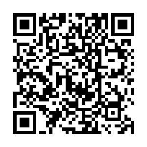 房间则干脆给了受到心灵创伤后不愿意挪窝的少女住着二维码生成