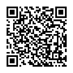 房间外守夜的包子小丫鬟听到了房间里的动静都羞红了脸二维码生成