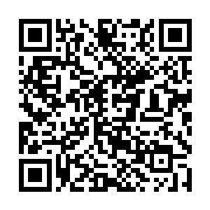 房间外面之前带夭华进入此的那名潜入武林已久的人二维码生成